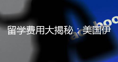 秘美国哥分芝加大揭大学少钱校学伊利费用费多诺斯留学